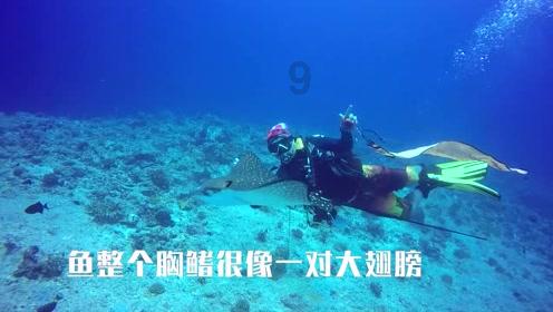 3000万年轻人线上开启“同居生活”：一起养猪种菜，共同还房贷